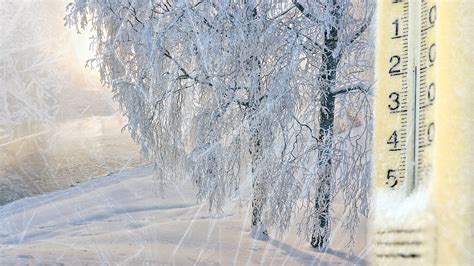 Sää Kauppi, Uusikaupunki